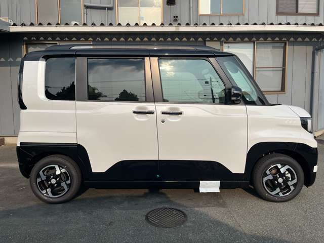 Mitsubishi Delica Mini 9
