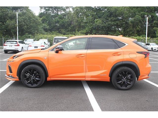 Lexus NX 11