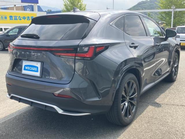 Lexus NX 6