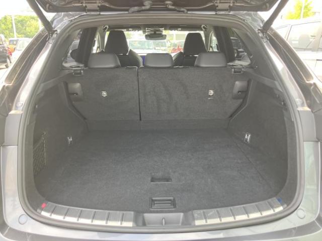 Lexus NX 10