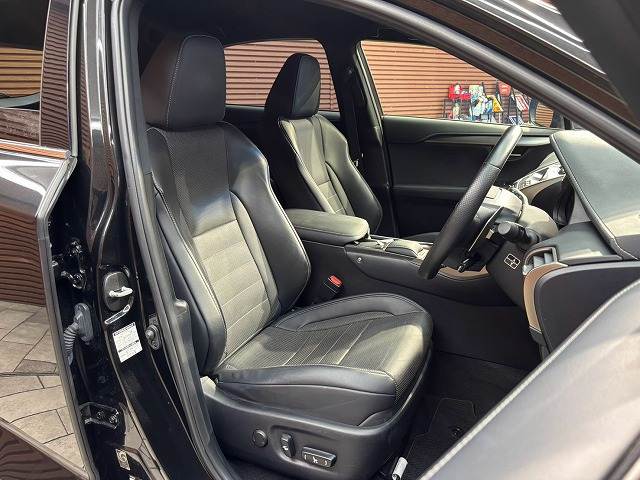 Lexus NX 11