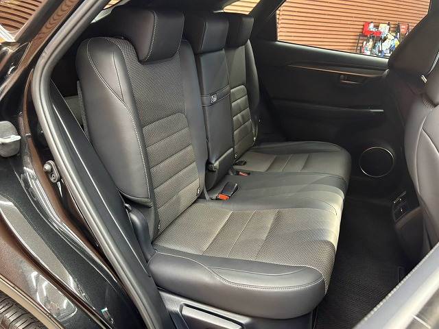 Lexus NX 12