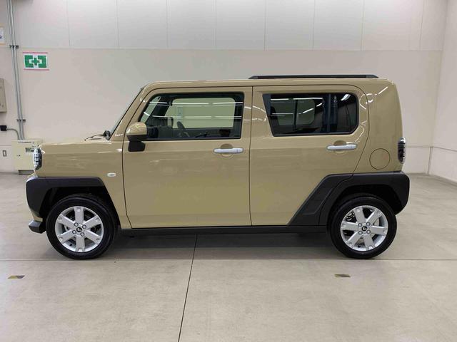 Daihatsu Taft 8