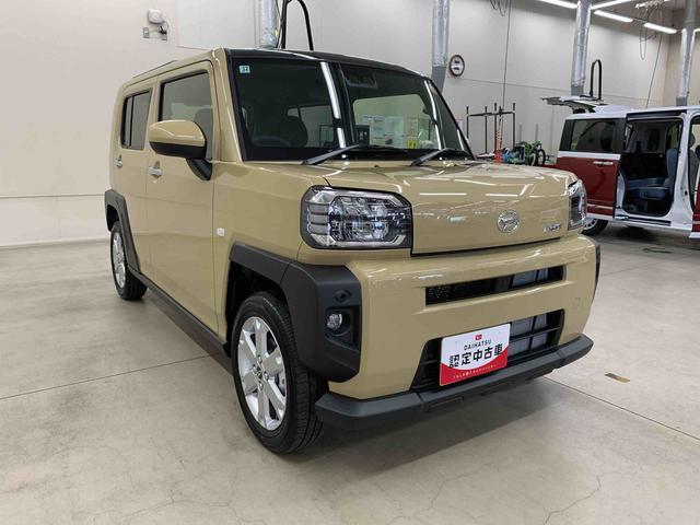 Daihatsu Taft 9
