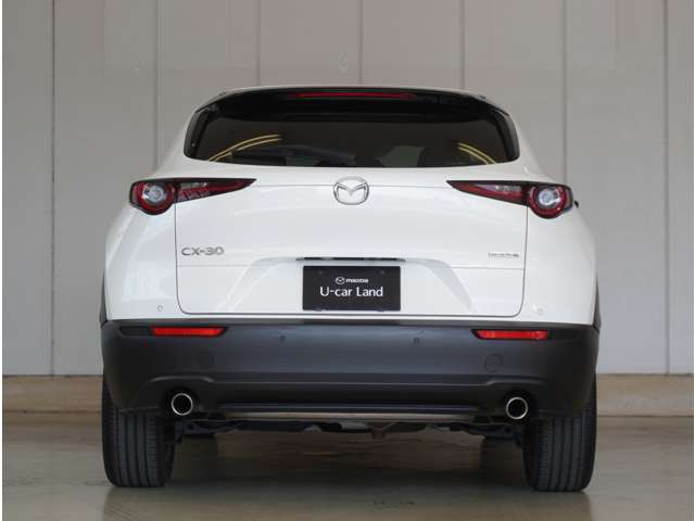 Mazda CX-30 6