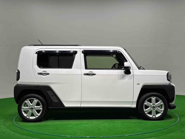 Daihatsu Taft 9
