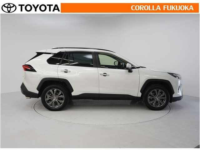 Toyota RAV4 9