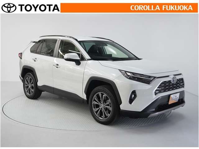 Toyota RAV4 10