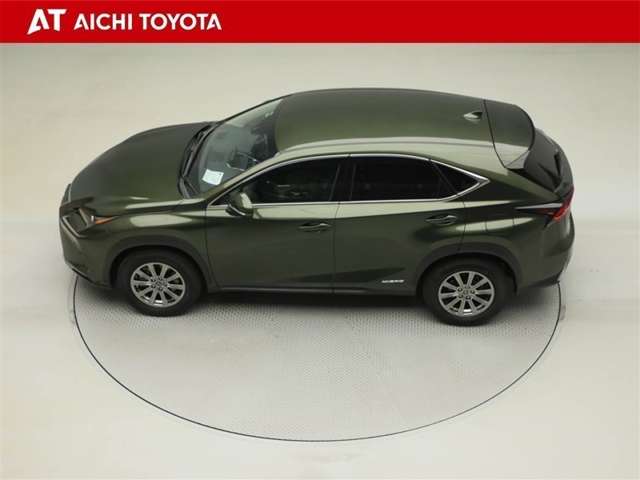 Lexus NX 11