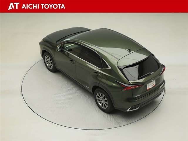 Lexus NX 12