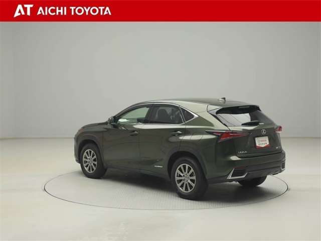 Lexus NX 4