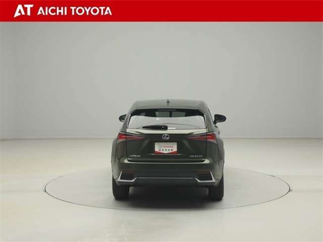Lexus NX 5