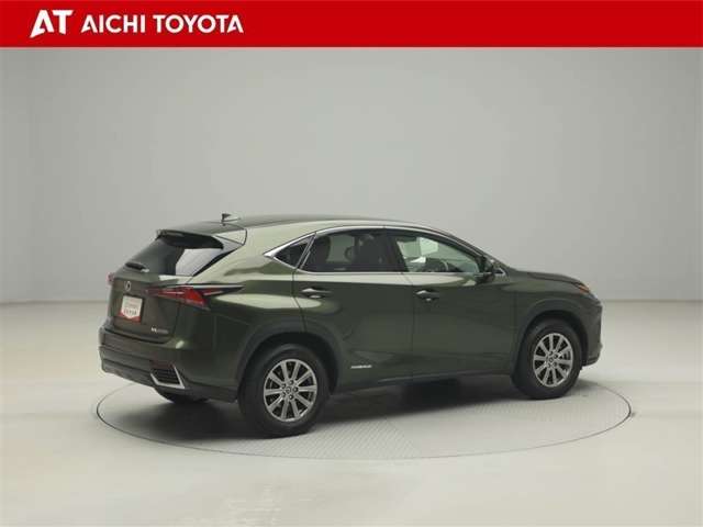 Lexus NX 6