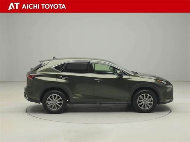Lexus NX 7