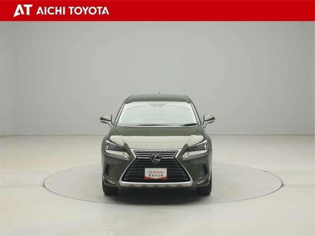 Lexus NX 9
