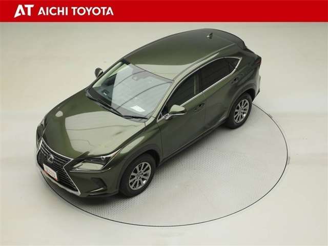Lexus NX 10