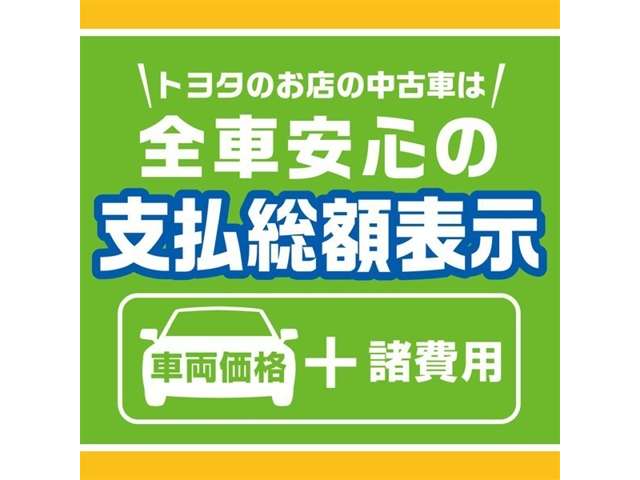 Toyota Probox Van 5