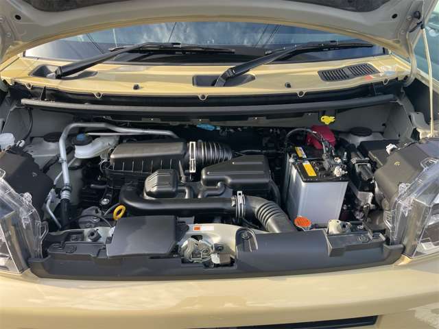 Daihatsu Taft 12
