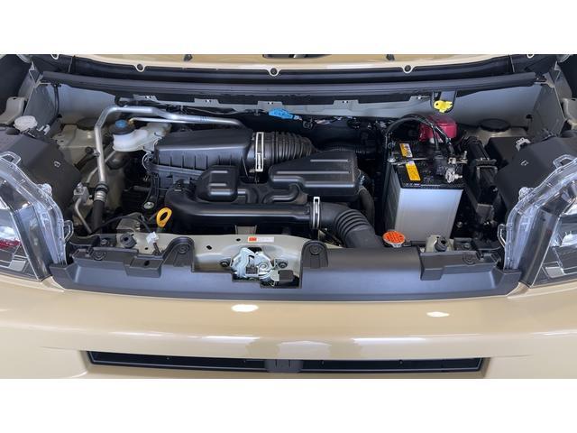 Daihatsu Taft 11