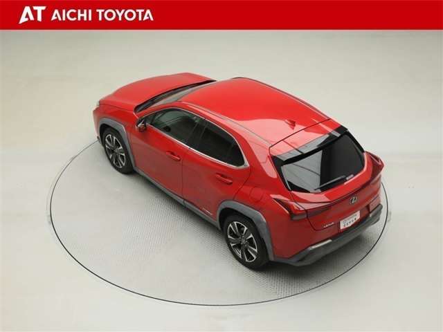 Lexus UX 12