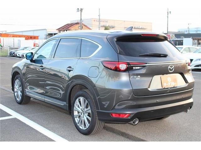 Mazda CX-8 12