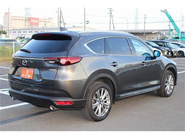 Mazda CX-8 10