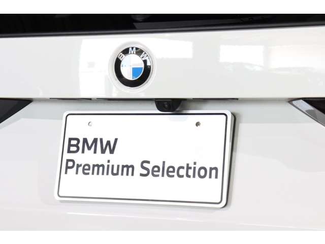 BMW X1 10