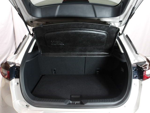 Mazda CX-3 12