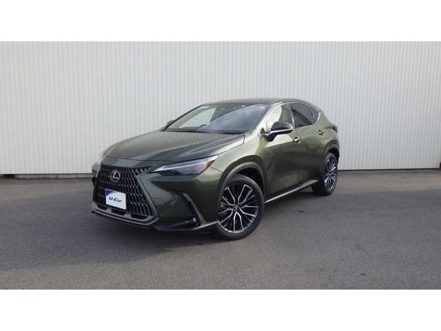 Lexus NX 11