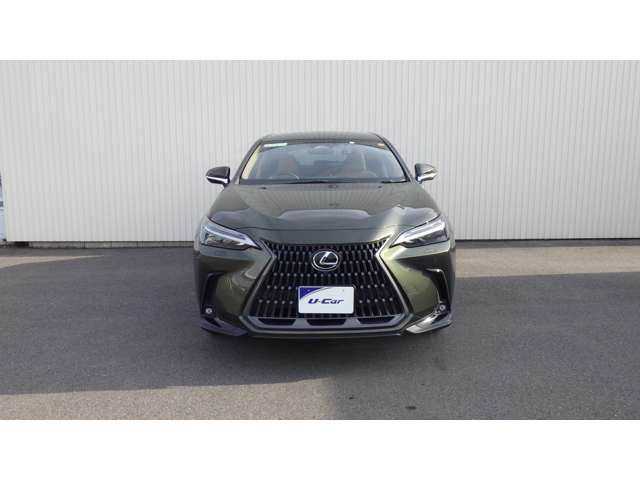 Lexus NX 12