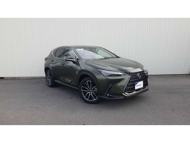 Lexus NX 5