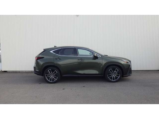 Lexus NX 6