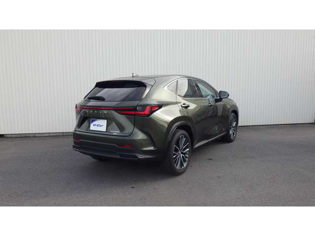 Lexus NX 7
