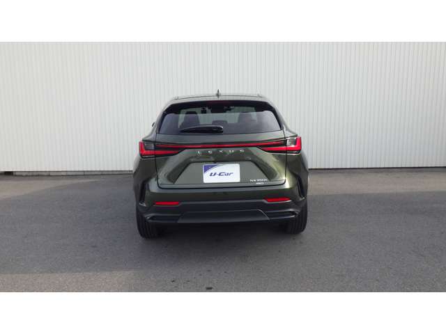 Lexus NX 8