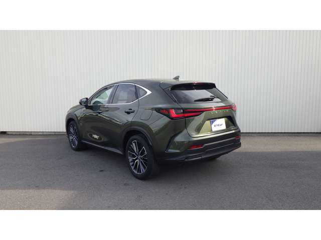 Lexus NX 9