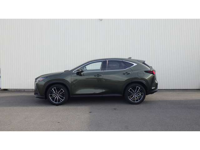 Lexus NX 10