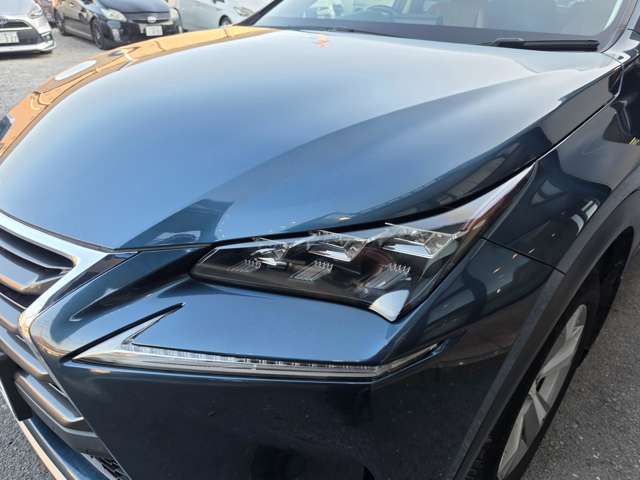 Lexus NX 11