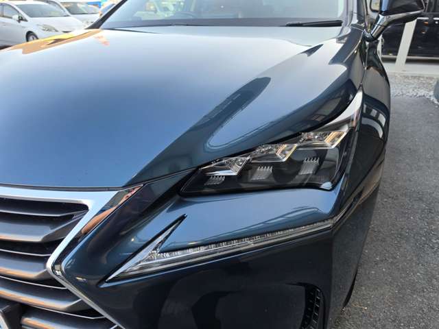 Lexus NX 12