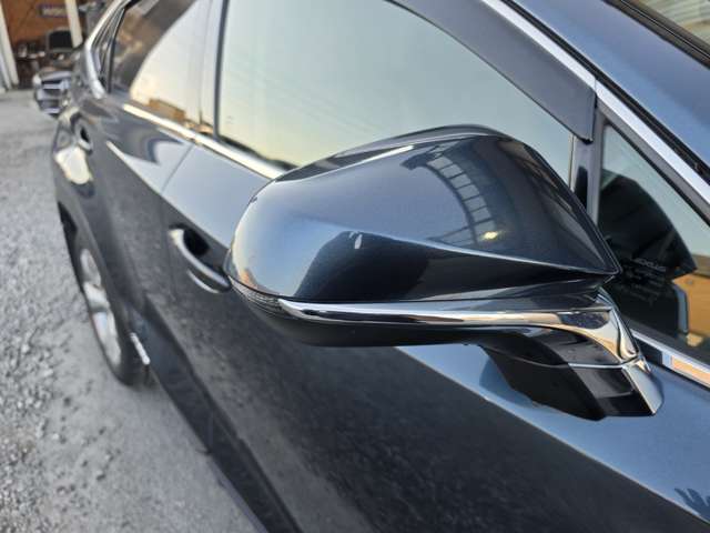 Lexus NX 4