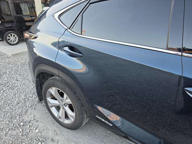 Lexus NX 6