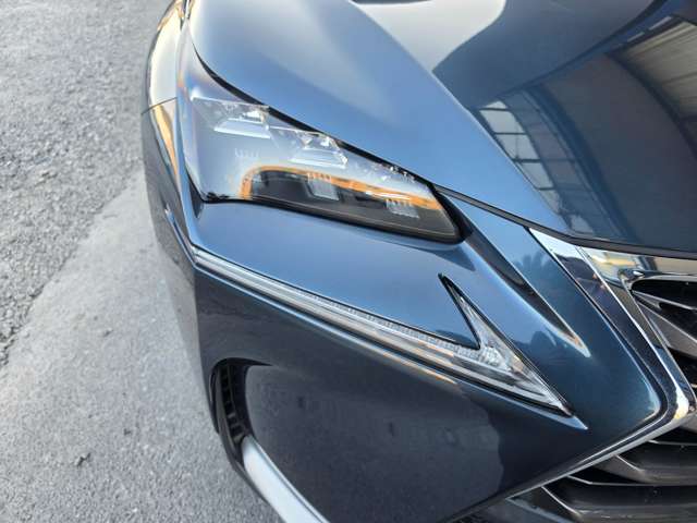 Lexus NX 7