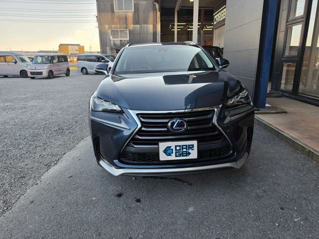 Lexus NX 9