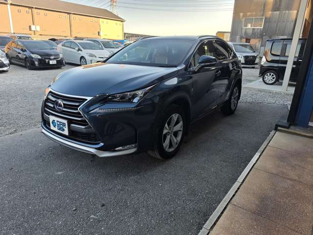 Lexus NX 10