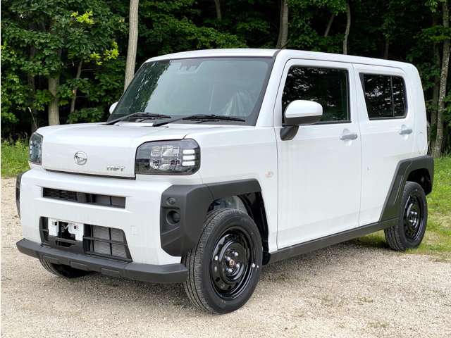 Daihatsu Taft 8