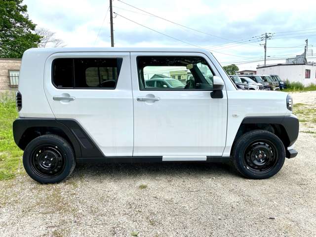 Daihatsu Taft 10
