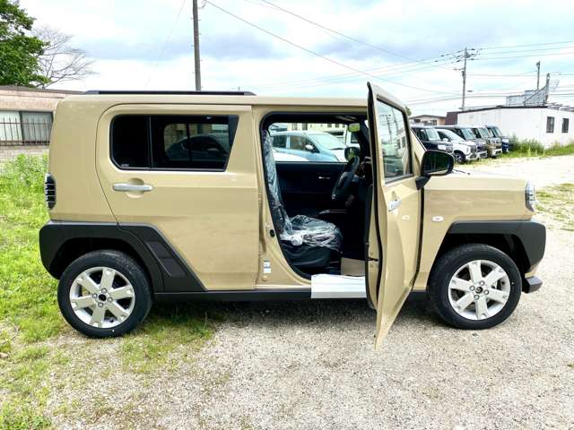 Daihatsu Taft 11