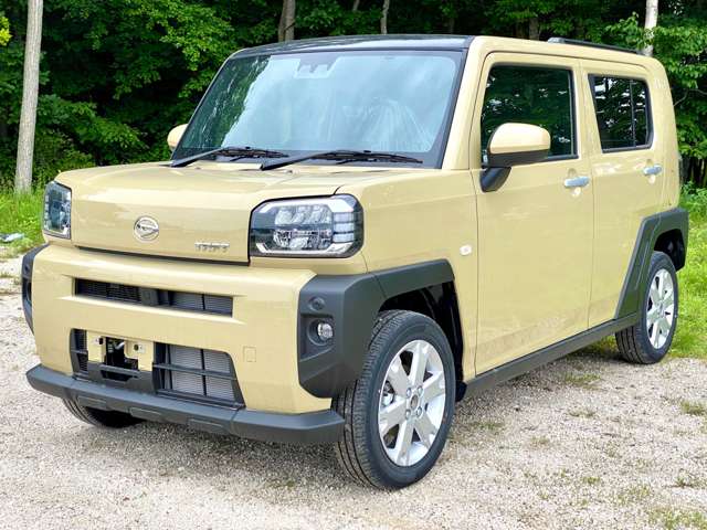 Daihatsu Taft 8