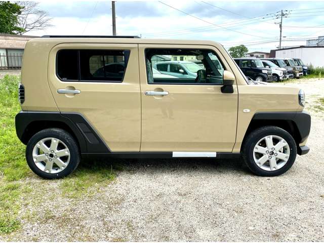 Daihatsu Taft 10