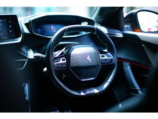 Peugeot SUV e-2008 10