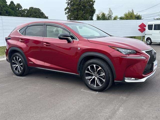 Lexus NX 12